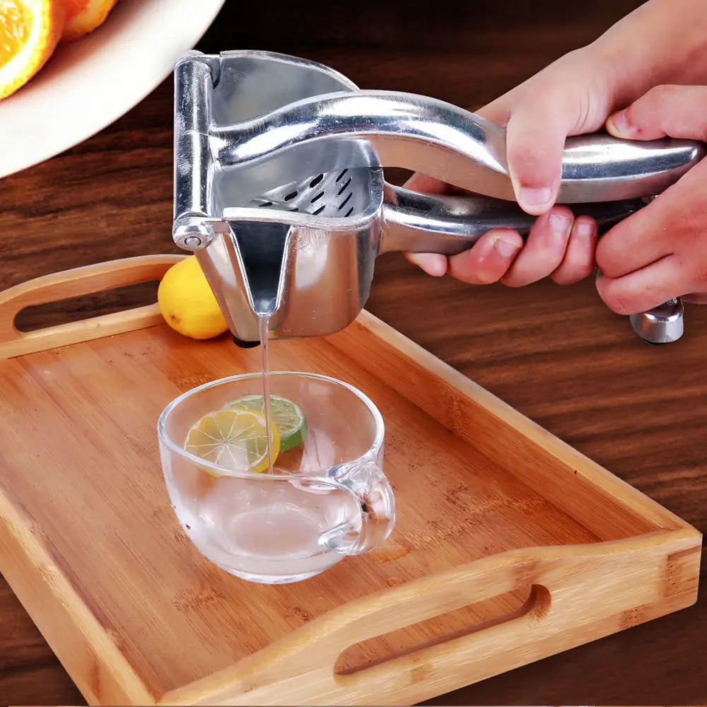 Stainless Steel Manual Fruit Press Best Quality