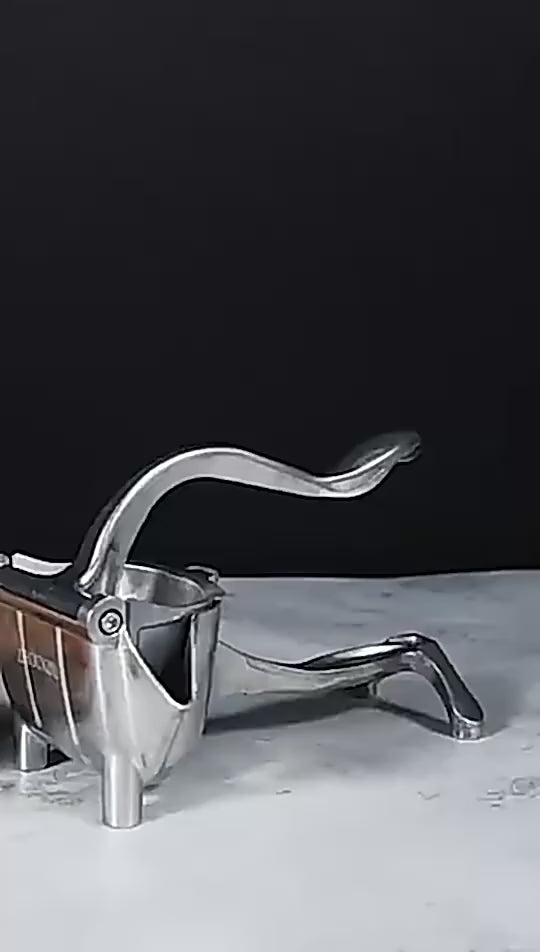 Stainless Steel Manual Fruit Press